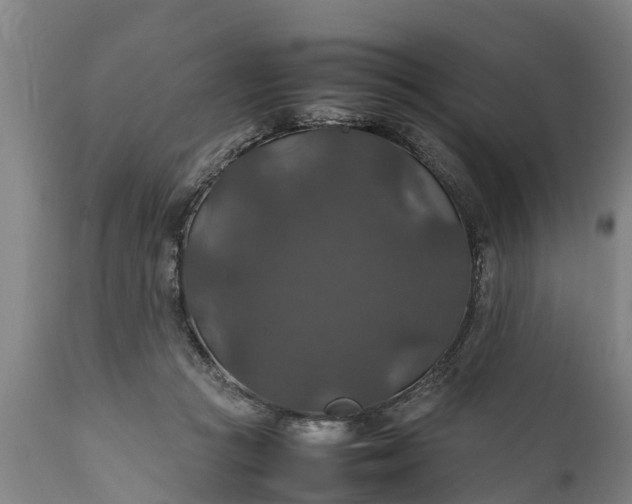 X0000112010361200908171449