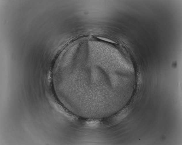 X0000112010362200908171449