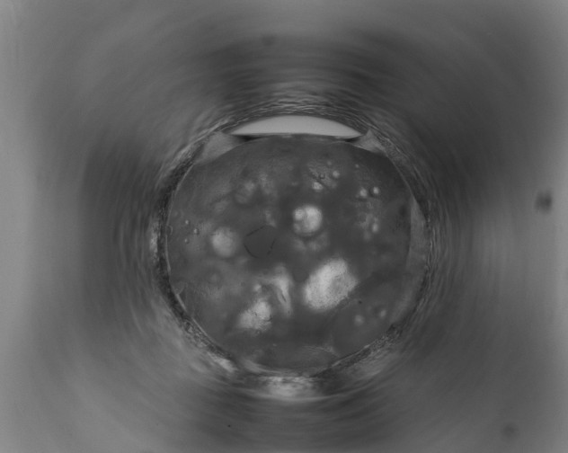 X0000112010363200908171449