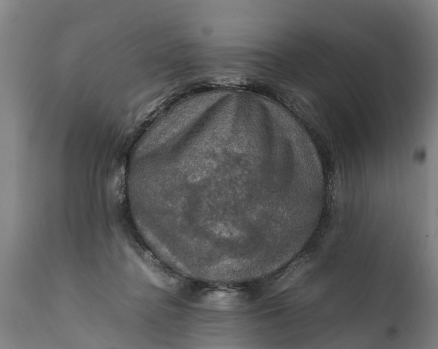 X0000112010364200908171449