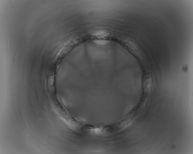 X0000112010365200908171449