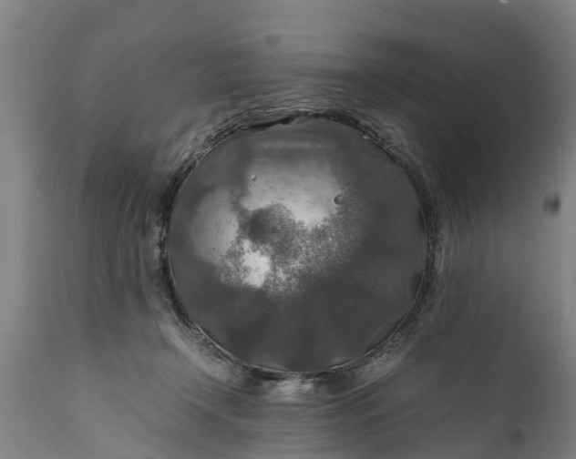 X0000112010366200908171449