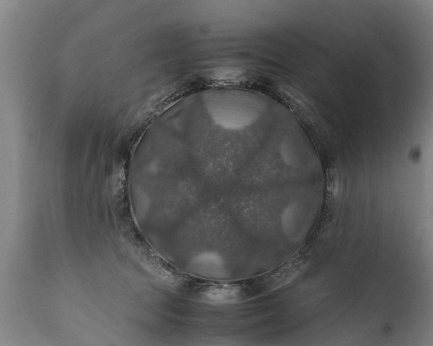 X0000112010369200908171449