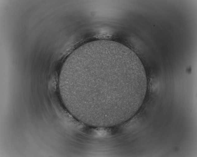 X0000112010370200908171449