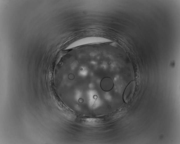 X0000112010371200908171449