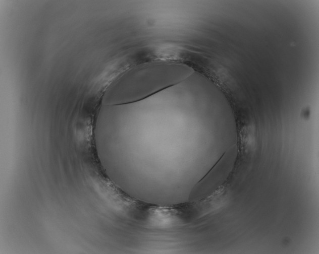 X0000112010372200908171449