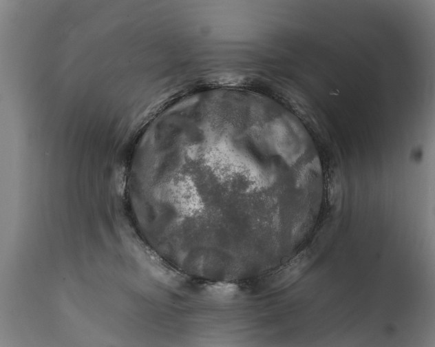 X0000112010374200908171449