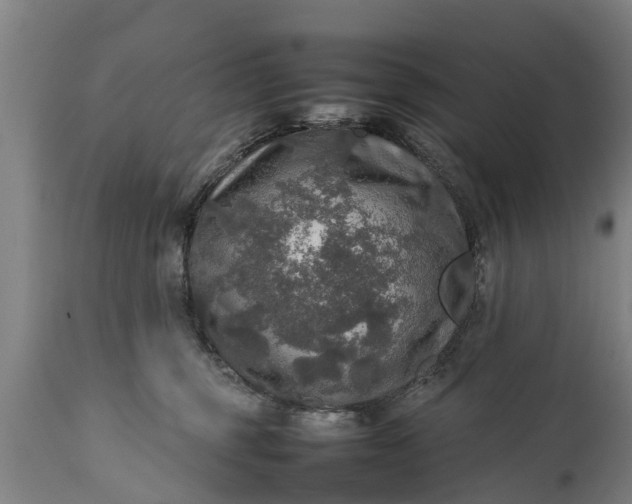 X0000112010375200908171449