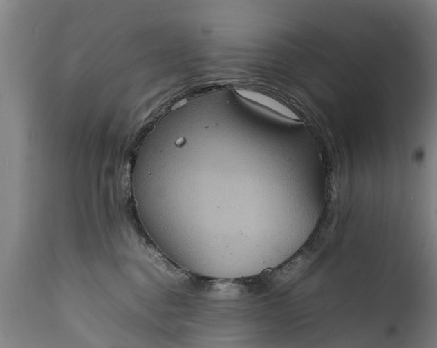 X0000112010376200908171449