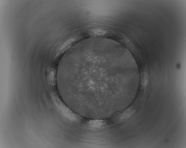 X0000112010378200908171449