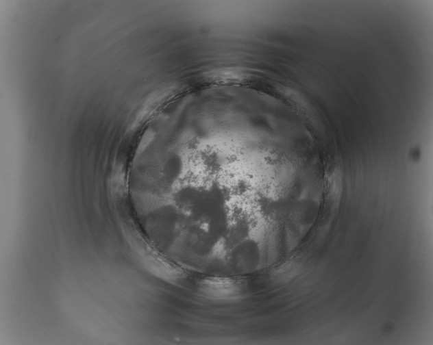 X0000112010381200908171449