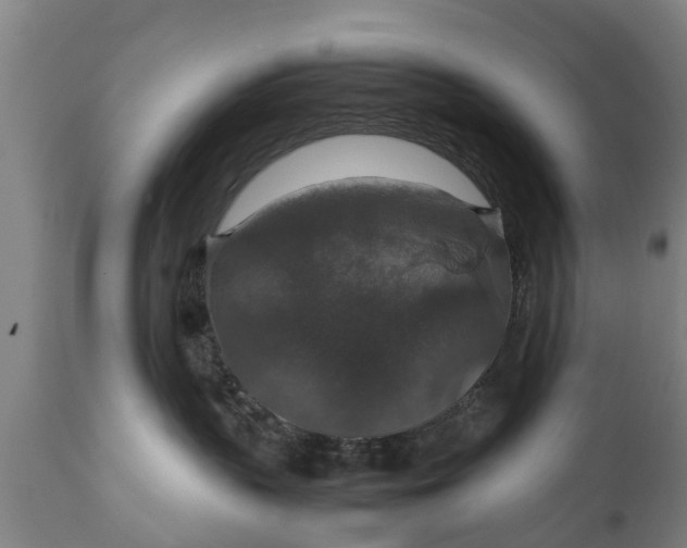 X0000112010383200908171449