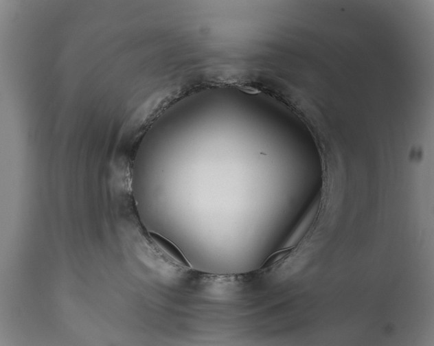 X0000112010384200908171449