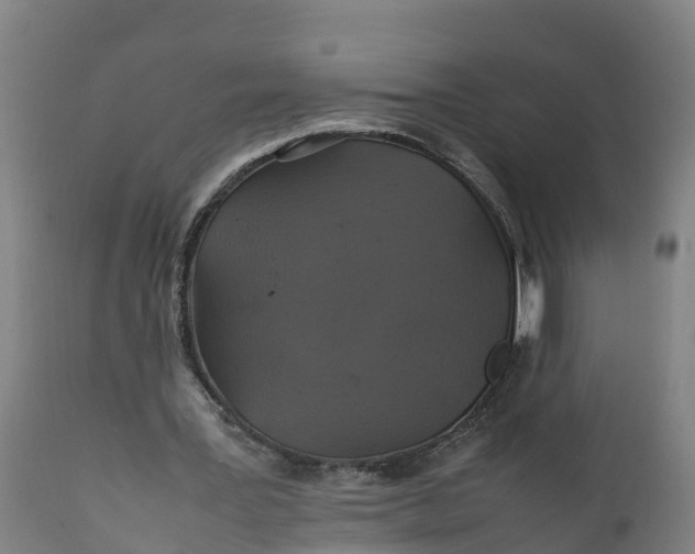 X0000112010387200908171448