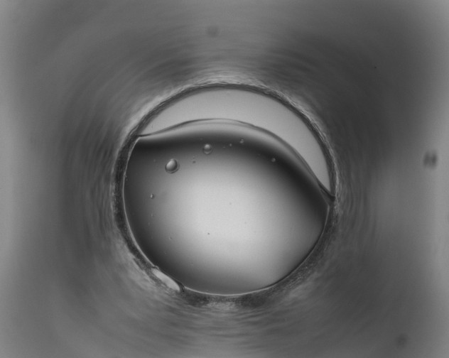 X0000112010391200908171448