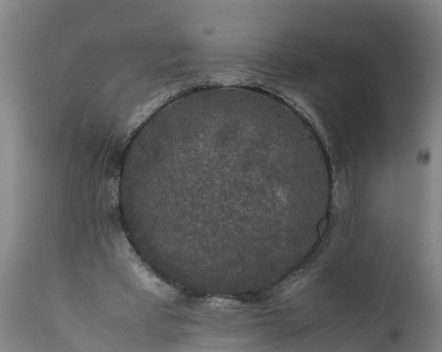 X0000112010393200908171448