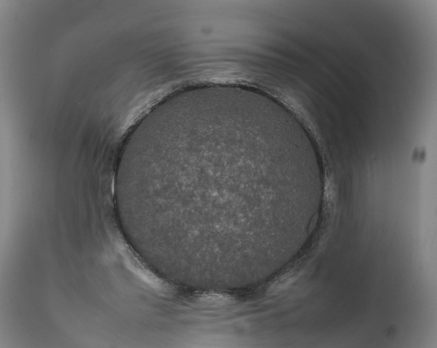 X0000112010397200908171448