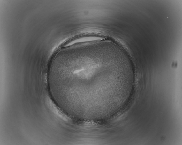 X0000112010399200908171448