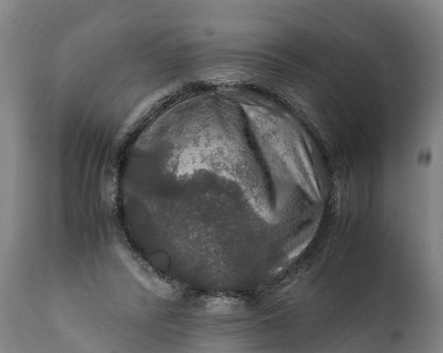 X0000112010400200908171448