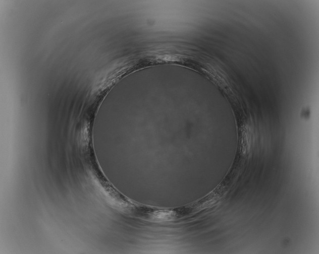 X0000112010410200908171448