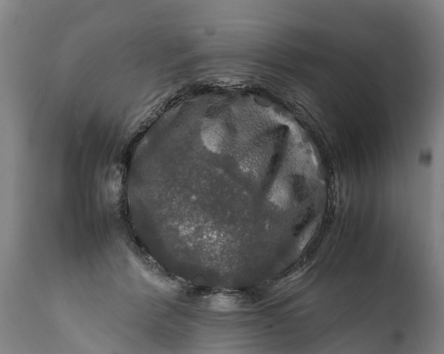 X0000112010412200908171448