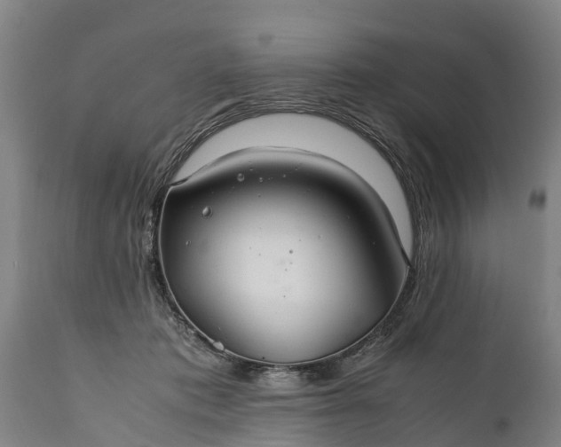 X0000112010413200908171448