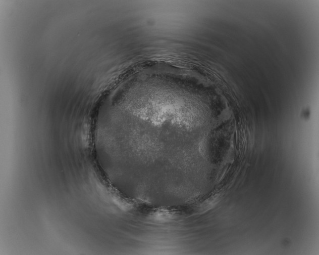 X0000112010416200908171448