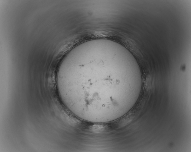 X0000112010418200908171448