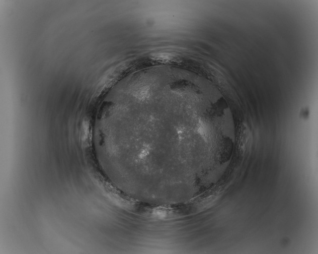 X0000112010420200908171448