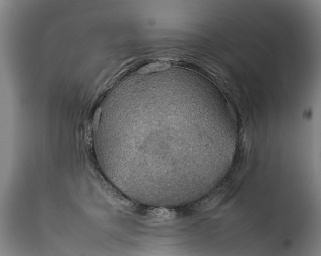 X0000112010421200908171448