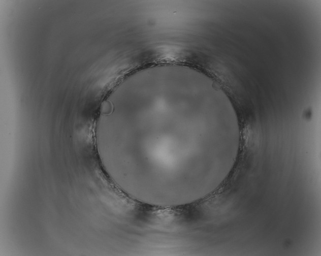 X0000112010423200908171448