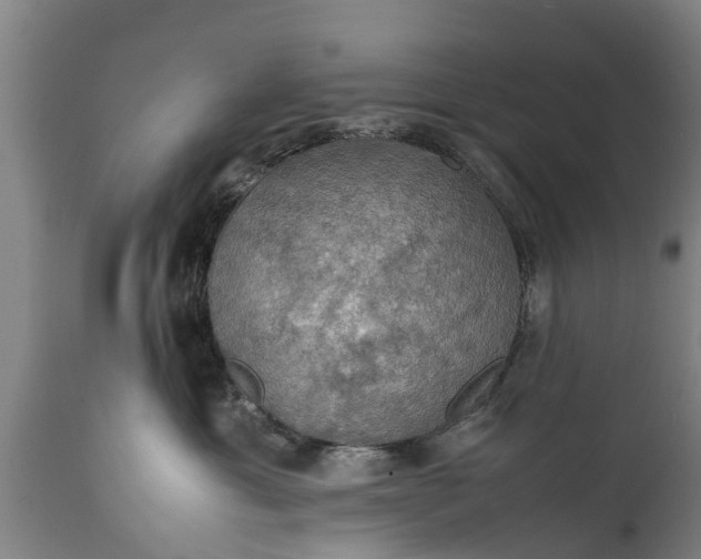 X0000112010429200908171448