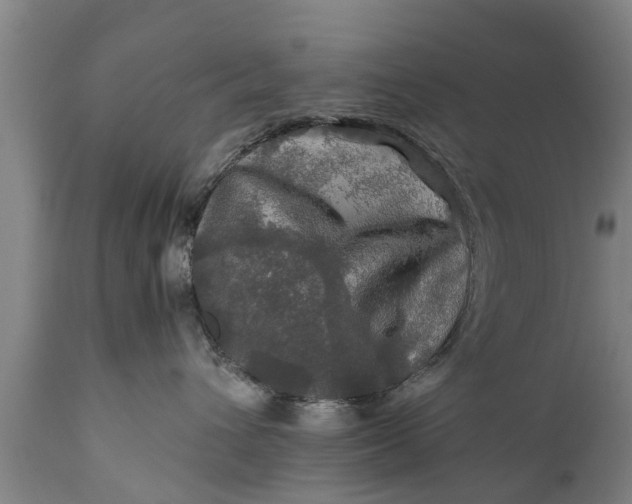 X0000112010432200908171448