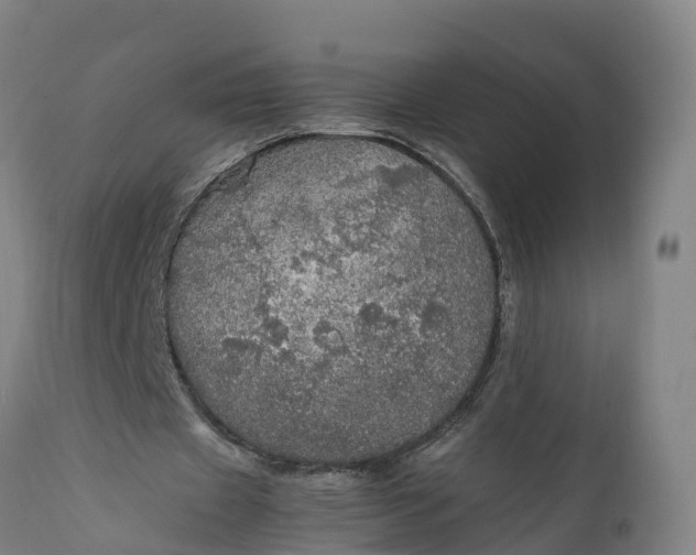 X0000112010433200908171447