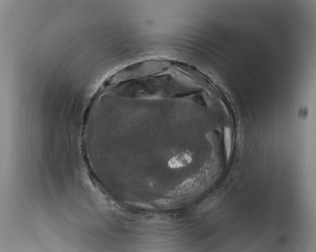 X0000112010434200908171447