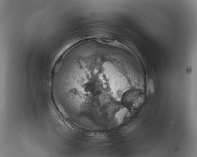 X0000112010435200908171447