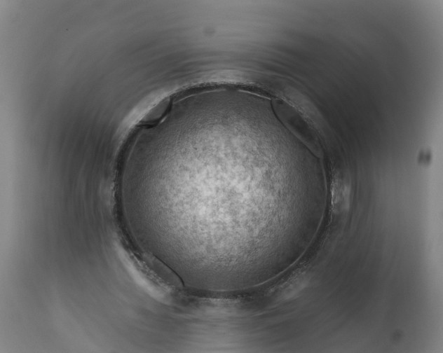 X0000112010436200908171447