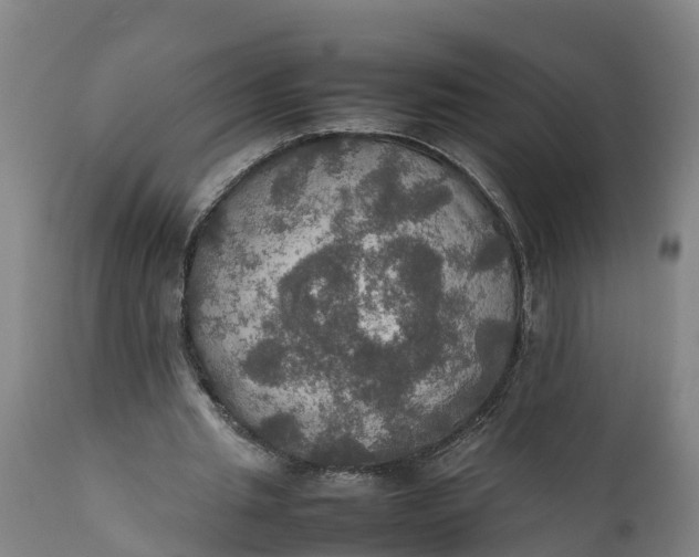 X0000112010437200908171447