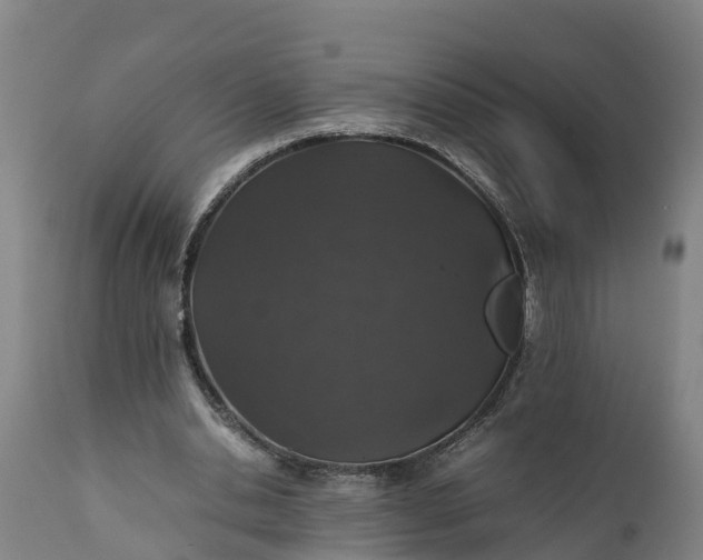 X0000112010438200908171447