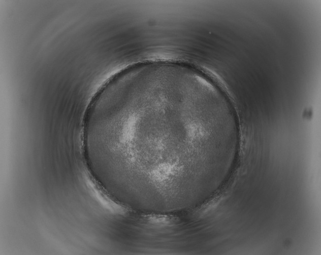 X0000112010439200908171447