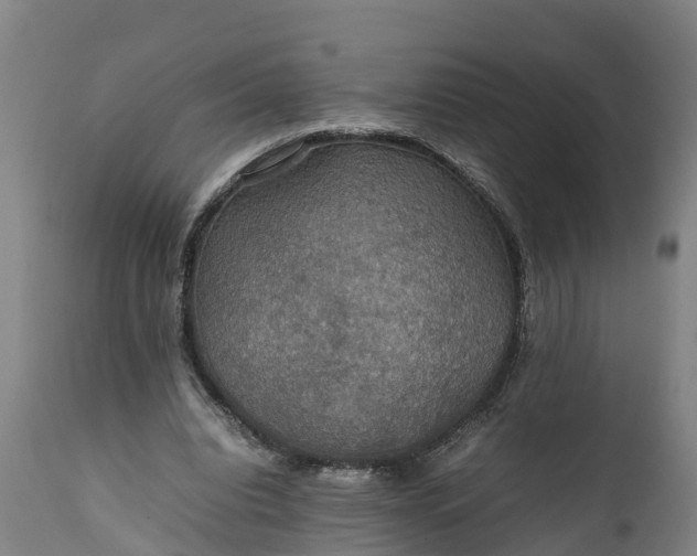 X0000112010440200908171447