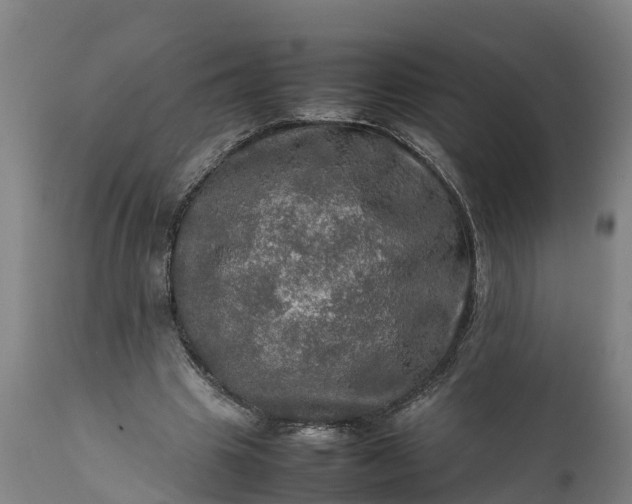 X0000112010441200908171447