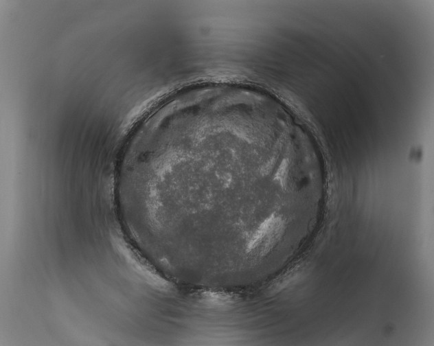 X0000112010442200908171447