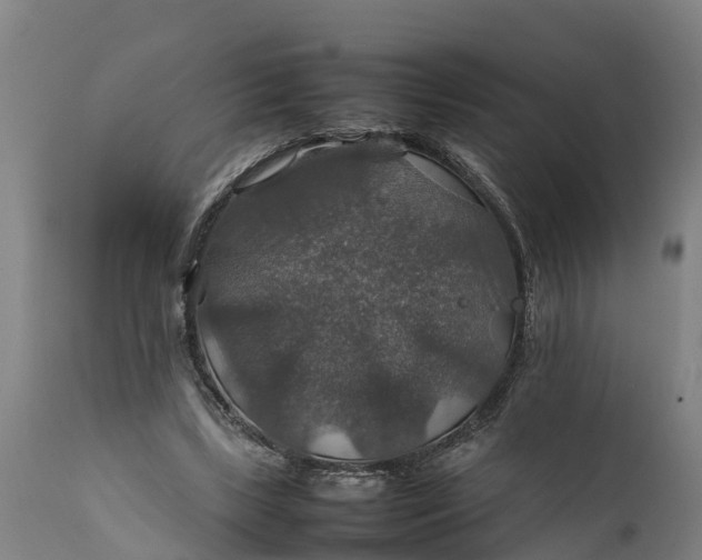 X0000112010443200908171447