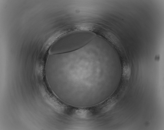 X0000112010444200908171447