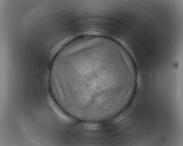 X0000112010445200908171447