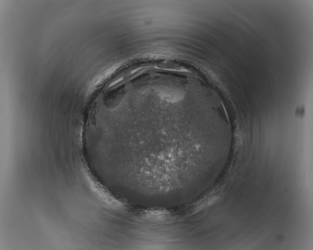 X0000112010446200908171447