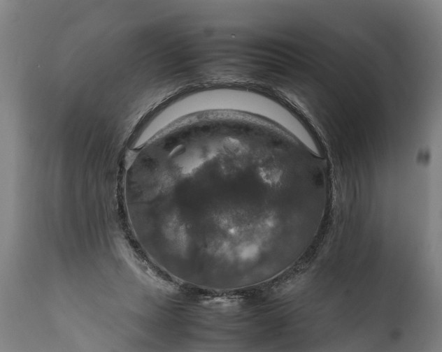 X0000112010447200908171447