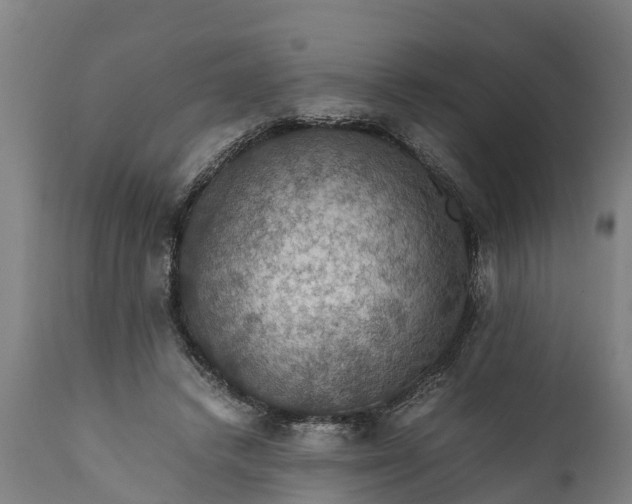 X0000112010448200908171447