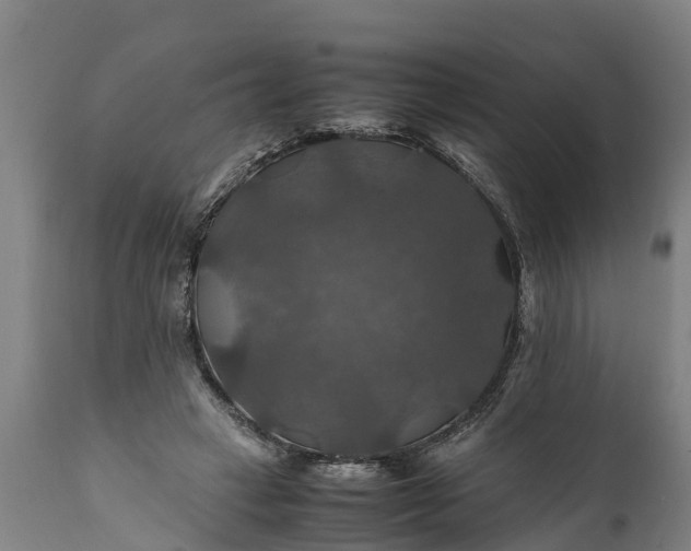 X0000112010449200908171447